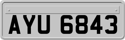 AYU6843