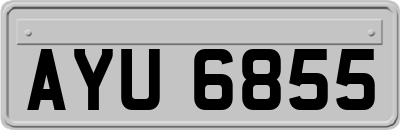 AYU6855