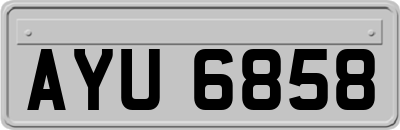AYU6858