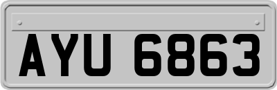 AYU6863