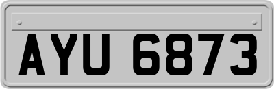 AYU6873