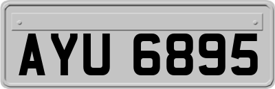 AYU6895