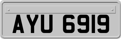 AYU6919