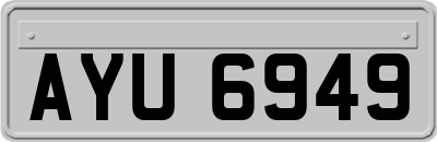 AYU6949
