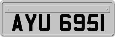AYU6951