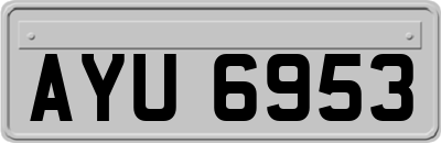 AYU6953