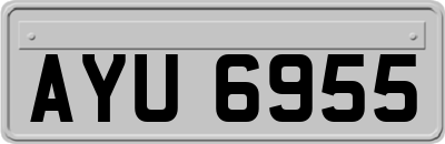 AYU6955
