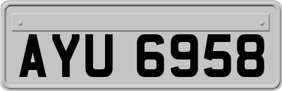 AYU6958