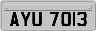 AYU7013