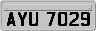 AYU7029
