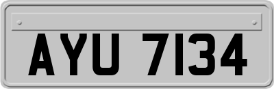 AYU7134