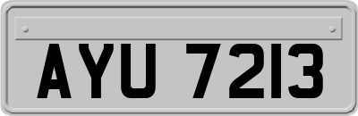 AYU7213