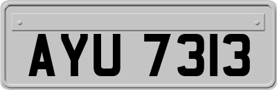 AYU7313