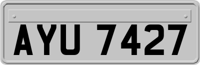 AYU7427