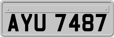 AYU7487