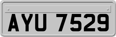 AYU7529