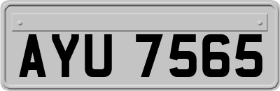AYU7565