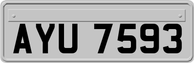 AYU7593