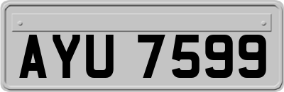AYU7599