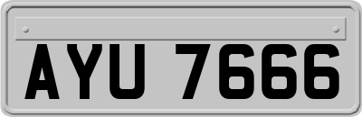 AYU7666