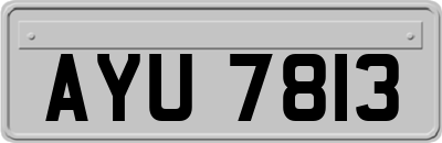 AYU7813