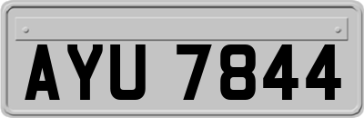 AYU7844