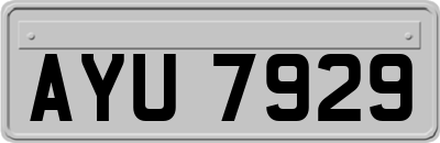 AYU7929