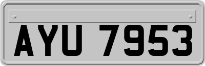 AYU7953