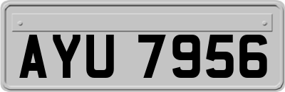 AYU7956