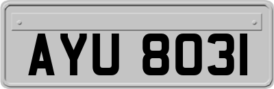 AYU8031