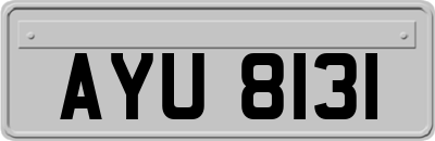 AYU8131