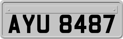 AYU8487