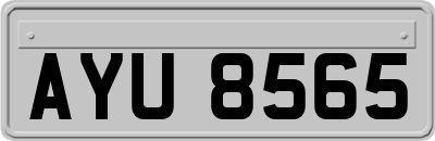 AYU8565