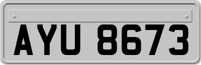 AYU8673