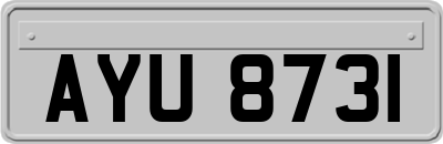 AYU8731