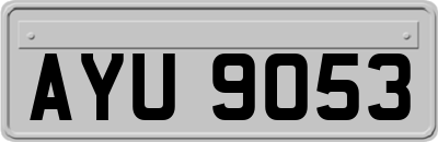 AYU9053
