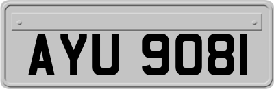 AYU9081