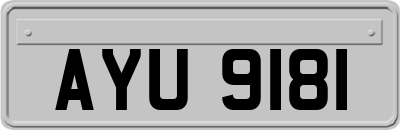 AYU9181