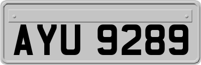 AYU9289