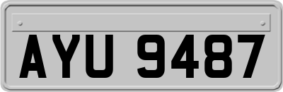 AYU9487