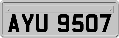 AYU9507