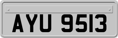 AYU9513