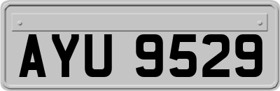 AYU9529
