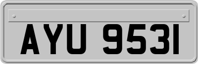 AYU9531