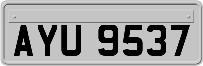 AYU9537