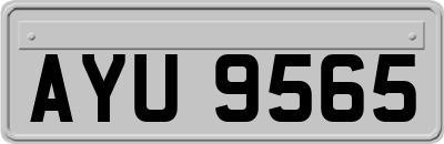 AYU9565