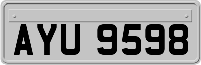 AYU9598