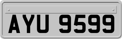 AYU9599