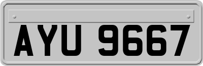 AYU9667