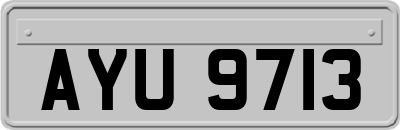 AYU9713